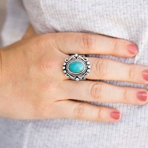 Paparazzi accessories